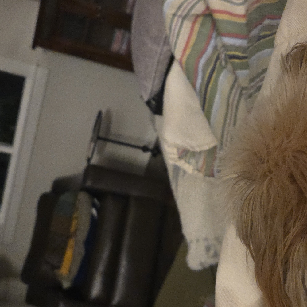 ATHLETA Avenue Black Blazer Jacket Size 20